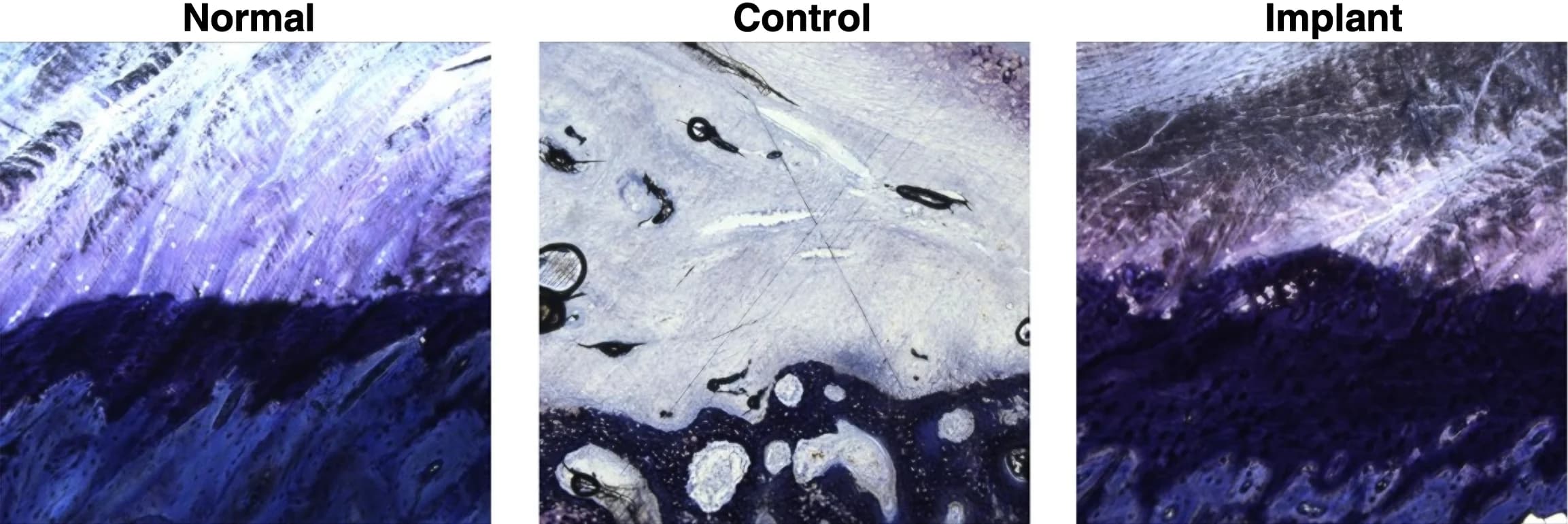 Figure 4 illustration